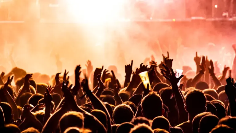 Publikumsmenge bei einem Live-Konzert mit erhobenen Händen in ausgelassener Stimmung.