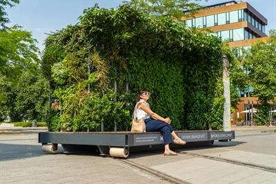 Münster erlebt, wie Stadtgrün gegen Hitze helfen kann