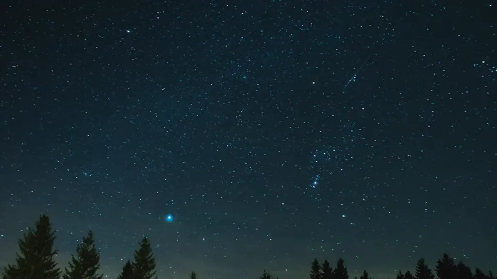 Dunkler Sternenhimmel über der Silhouette eines deutschen Waldes in der Nacht.