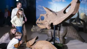 Eine Familie betrachtet in einem Museum Dinosaurier-Modelle und einen großen Triceratops-Schädel aus Stein.