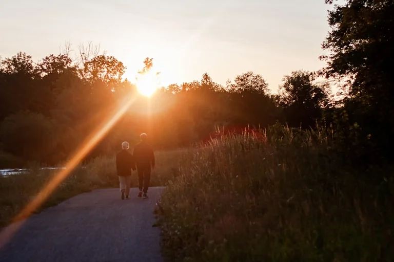 Fledermäuse im August beobachten: so gelingt der Abendspaziergang