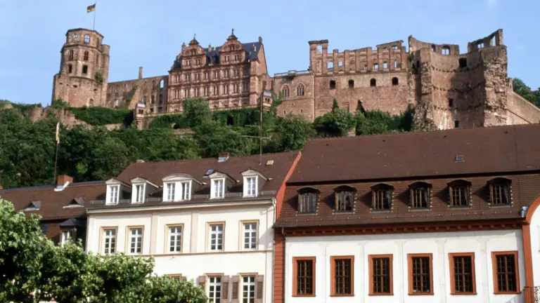 Heidelberg: Gerüst am Rathaus, Eingang bleibt offen