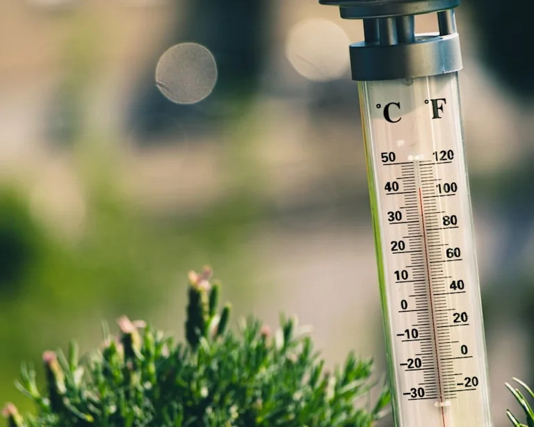 Hitzewelle in Süddeutschland: Gesundheitstipps bei über 35 Grad