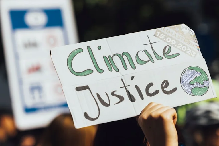 So machen Regensburgs Schüler Klimaschutz greifbar