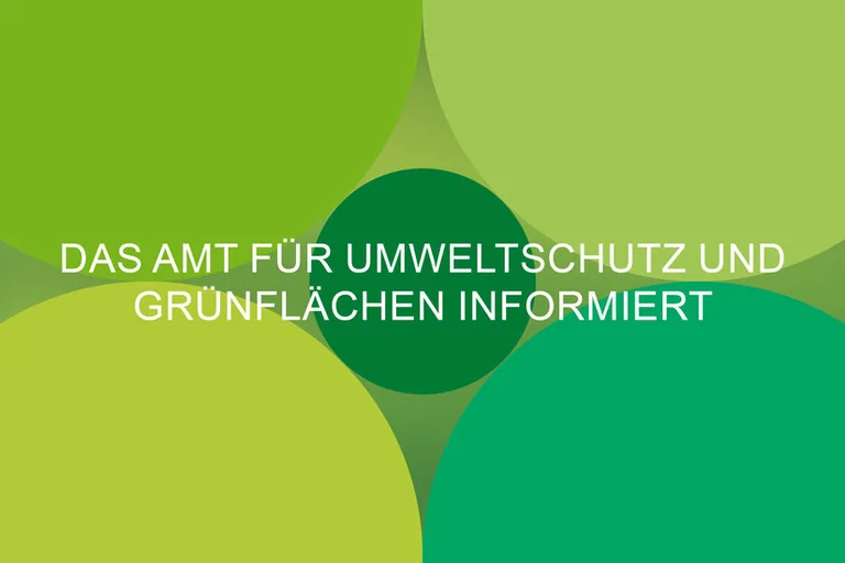 Warum in Paderborn-Benhausen Gehölze weichen müssen