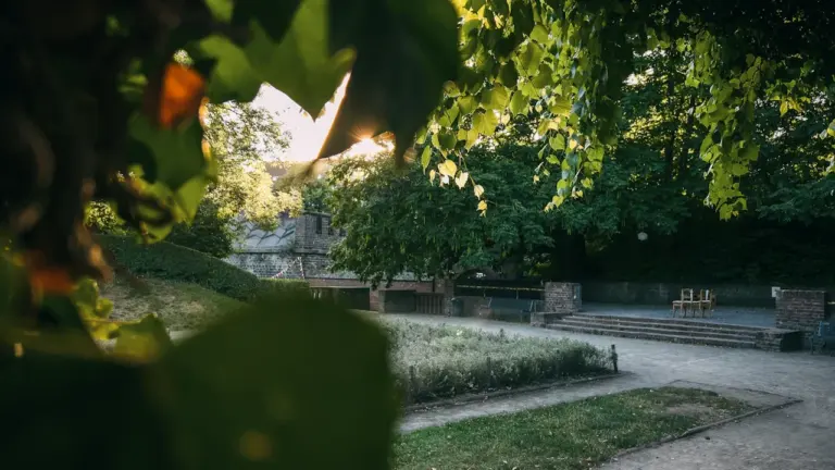 Ein begrünter Parkweg mit Bäumen und Sitzgelegenheiten in einer deutschen Stadt.