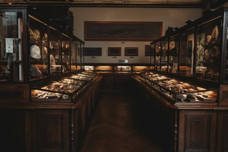 Kostenlose Sternenführung im Historischen Museum Regensburg