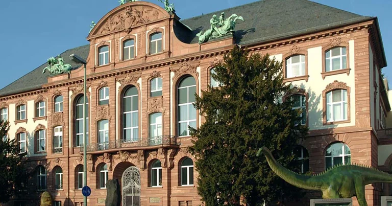 „Secret Service“ in Frankfurt: Eintritt ab 6 Euro