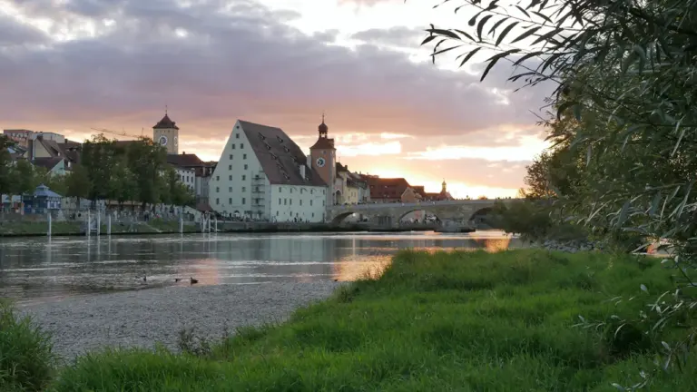 „Auf den Hund gekommen“: Führung in Regensburg am 6. Oktober: what residents need to know
