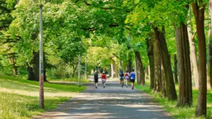 Menschen joggen und radeln auf einem von Bäumen gesäumten Parkweg in Leipzig.