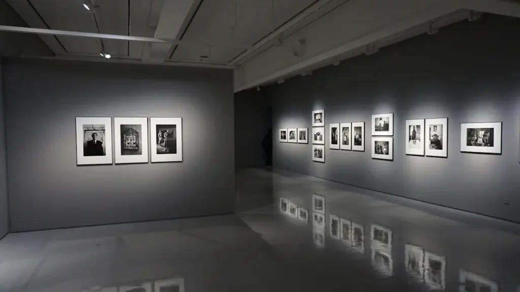 Moderne Kunstgalerie mit elegant gerahmten Bildern an einer beleuchteten, anthrazitfarbenen Wand.