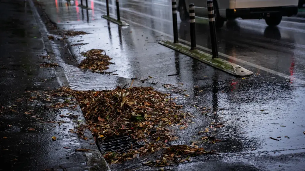 Mit Herbstlaub verstopfter Gully an einer nassen, regnerischen Stadtstraße mit vorbeifahrendem Verkehr.