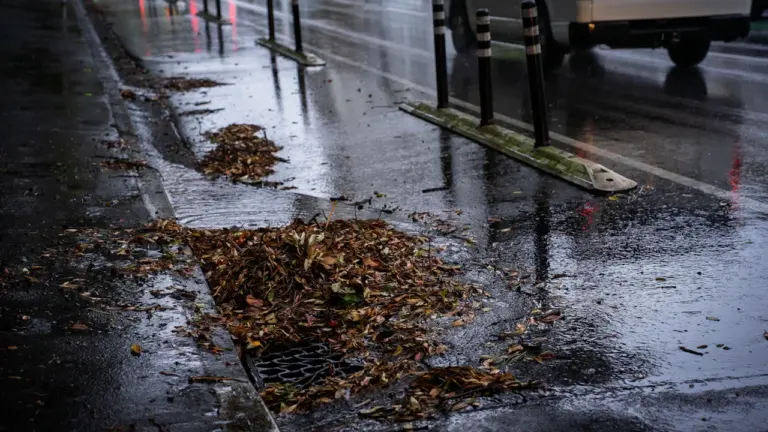 Nasses Herbstlaub: Wo Wege und Straßen rutschig werden