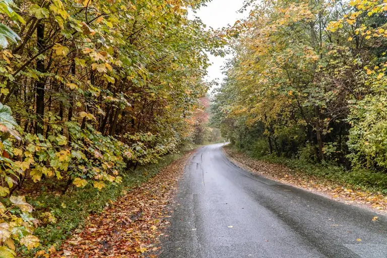 Nasses Herbstlaub: Wo Wege und Straßen rutschig werden