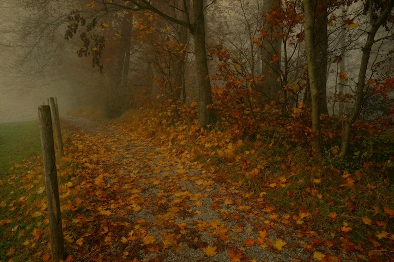Tageshoroskop für den 1. Oktober: Kleine Schritte bewusst wählen